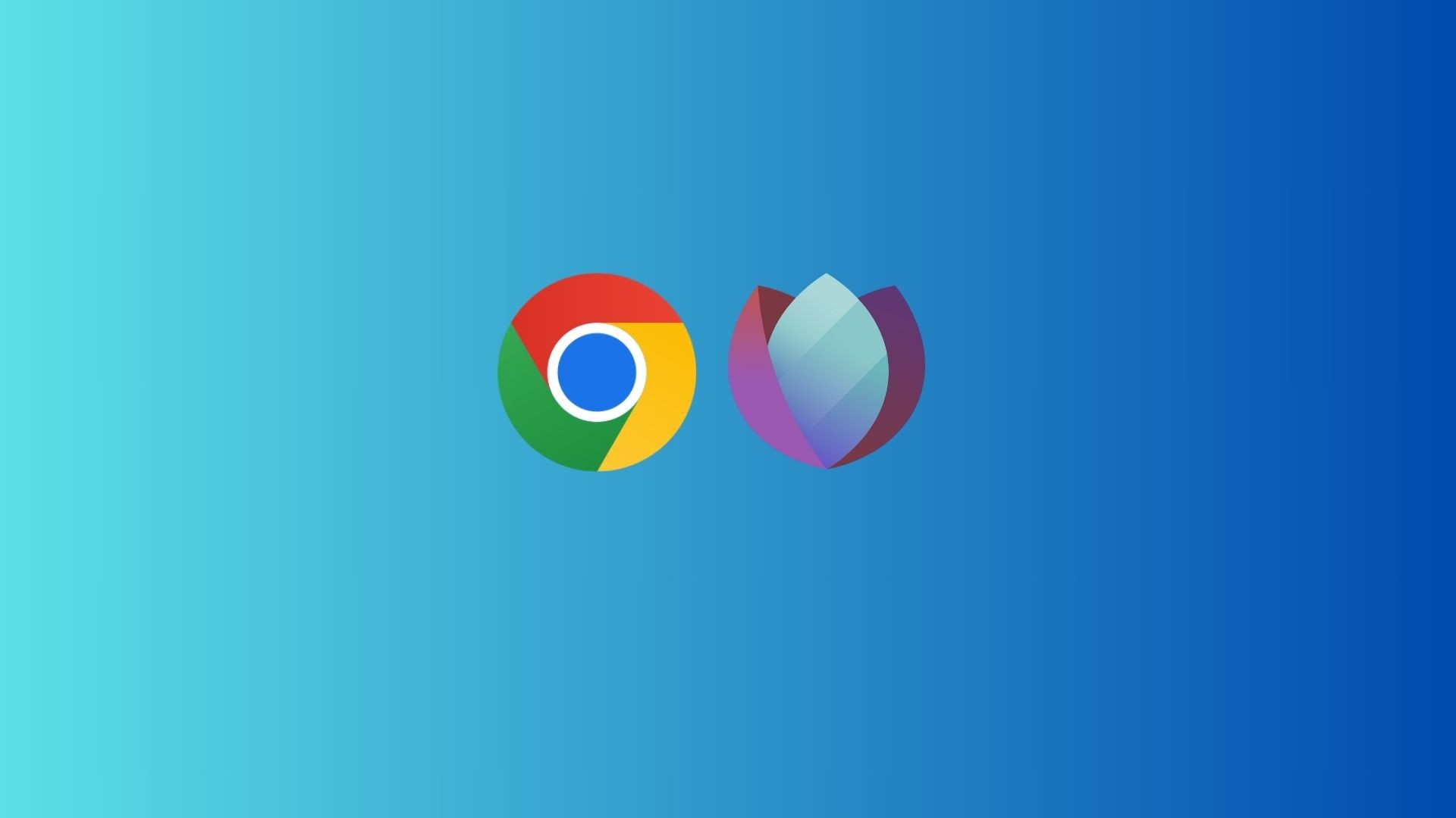 Seedr Chrome extension — install, set up and use